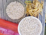 Conserve, stérilisation haricots blancs de Paimpol