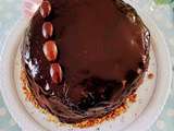 Molly cake au potimarron-chocolat