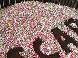 Gâteau au chocolat et mikados {le gâteau d'annif d'Oscar}