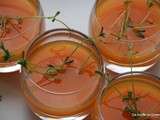 Soupe froide de Carottes à l'Orange et Germes de Lentilles