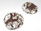 Biscuits tout chocolat craquelés de Martha Stewart
