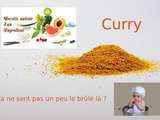 Autour d’un ingrédient #54 : Le Curry (récapitulatif)