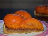 Tarte Abricot-Rhubarbe-Gingembre
