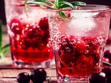 10 meilleurs cocktails et boissons au gin de Noël