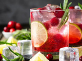 15 meilleurs cocktails de vodka aux canneberges (+ recettes faciles)