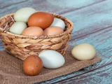 Coûts et les problèmes de santé sont les principales raisons pour lesquelles les boulangers réduisent leur dépendance aux œufs
