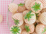 Que sont les fraises blanches