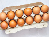 Quelle est la différence entre les œufs en liberté, en liberté, au pâturage et biologiques