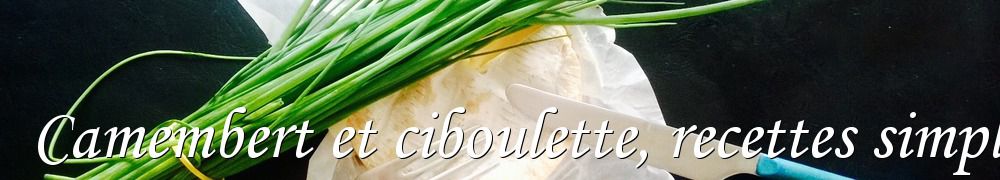 Recettes de Camembert et ciboulette, recettes simples et sans viande