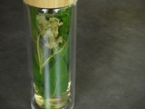 Tisane menthe, reine-des-prés