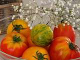 Profitez des dernières Tomates de Saison
