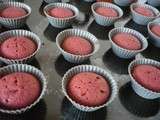 Red velvet cupcakes Hummingbird