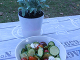 Salade d'été de tomate courgette