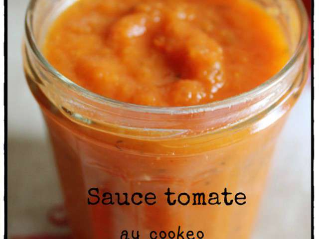 Les Meilleures Recettes De Cookeo Et Sauces 7