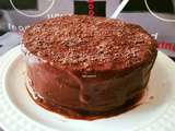 Gâteau Danette-chocolat