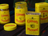 Tout savoir sur la moutarde anglaise (la poudre de moutarde)