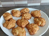 Croquants aux pommes au combi Ninja