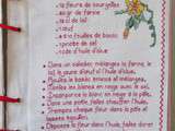 Livre Recettes Brodées de Mamigoz : Beignets de fleurs de Courgette