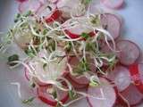 Salade de radis aux graines germees