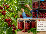 🍒 Cerises au sirop léger