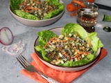 Salade de lentilles et ses légumes croquants