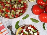 Salade Shirazi (pour 1 pers)