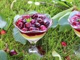 Verrines de rhubarbe et cerises au miel