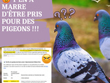 Y’en a vraiment marre d'être pris pour des pigeons
