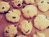 Cookies aux cranberries Sans Gluten Sans fodmap