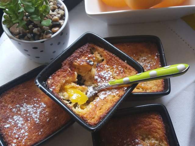 Recettes de Cuisine Companion Moulinex