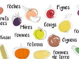 Calendrier des fruits et légumes de saison - Septembre