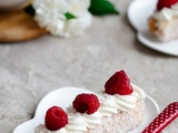 Gâteaux noix de coco et framboises; Recette facile, rapide et sans cuisson