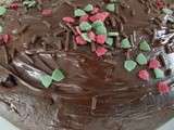 Fameux cake moelleux au chocolat d'Elisabeth