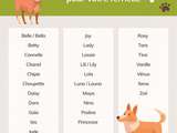 15 meilleurs noms classiques pour un chien