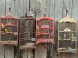 Guide pour préparer et peindre une cage à oiseaux