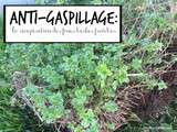 Anti-gaspillage: comment faire sécher les herbes fraîches