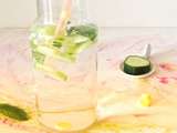 Detox water au concombre – gingembre – menthe