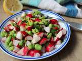 Salade fèves radis