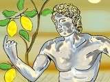 Citron, citronnier et symbolique
