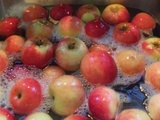 Comment utiliser le bicarbonate de soude pour laver 96% des pesticides toxiques de vos fruits et légumes