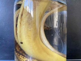 L’eau de banane, un bon engrais
