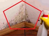 Savez-vous comment se débarrasser du salpêtre et de la moisissure des murs