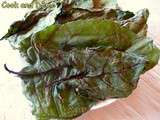 Chips de feuilles de betteraves au déshydrateur
