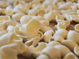 Appareil indispensable dans une cuisine pour vivre autrement : la pastamaker