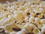 Appareil indispensable dans une cuisine pour vivre autrement : la pastamaker
