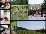 Vins de Côtes-du-Rhône