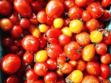 Tomato Recipes for Flavorful Roasted Tomato Linguine Dishes