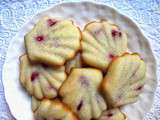 Coquillages coco-framboise