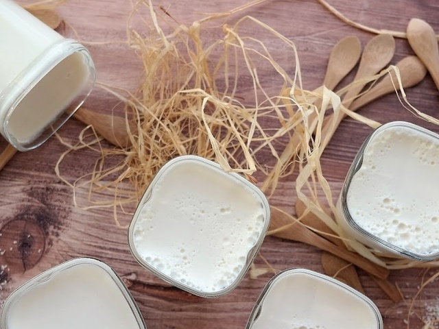 Yaourt au lait de coco : recette onctueuse et rafraîchissante