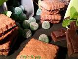 Biscuits menthe chocolat...ou la blog box 2ème édition par Esméralda